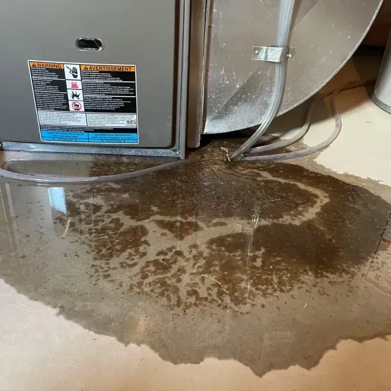 Appliance Leak Cleanup in Price County, WI